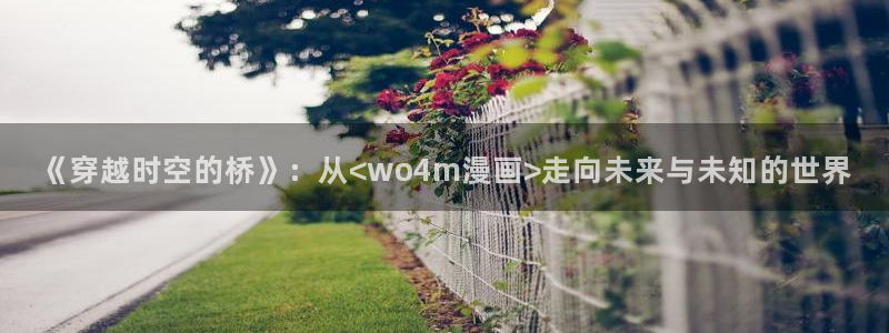 火爆香蕉漫画：《穿越时空的桥》：从<wo4m漫画>走向未来与未知的世界