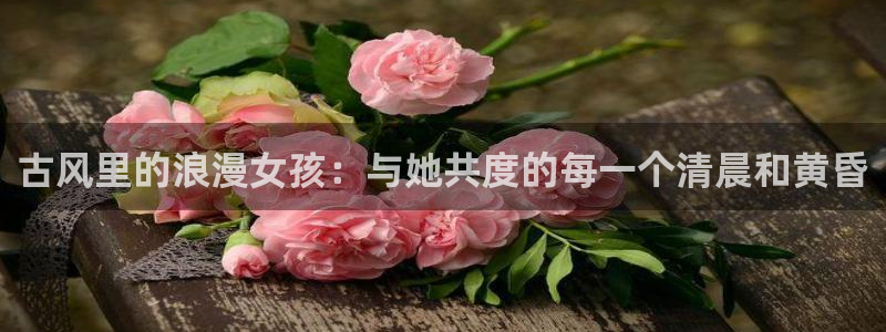 香蕉漫画在线观看18：古风里的浪漫女孩：与她共度的每一个清晨和黄昏